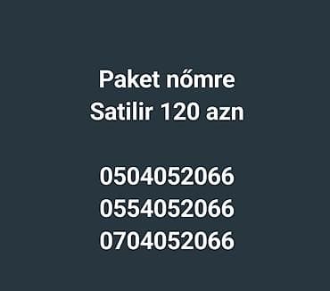 Nömrə: ( 050 ) ( 4052066 )