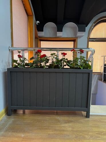 dekorativ otaq bitkiləri: Taxtalar ile ve, restoran, ofis, otel ve s. Məkanlarınızın müasir və — 2