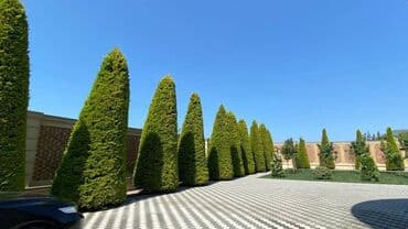 недвижимость в азербайджане купить: Пос. Бильгя, 300 м², 7 комнат, С бассейном — 15