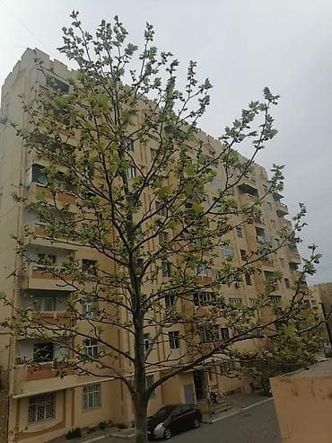 eksperimental binalar: Bakı, Yeni Günəşli Massiv Q, 4 otaqlı, Köhnə tikili, 107 kv. m — 1