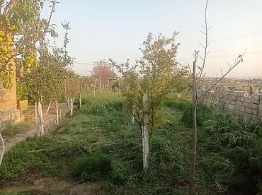 torpaq satış: Kənd təsərrüfatı — 5