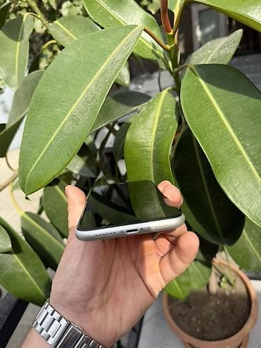 iphone kredit: IPhone 11, Ağ, Face ID — 4