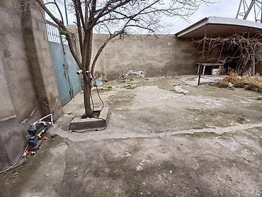 ev meymunlari: 3 otaqlı, 100 kv. m — 4