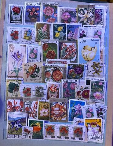 урбеч купить в баку: Markalar — 11