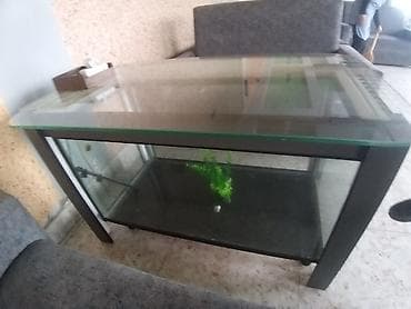 su cəni 5 ton: Jurnal masası, Açılmayan, Şüşə, Dördbucaq masa — 4