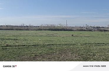 Квартиры: 20 соток, Для сельского хозяйства, Собственник, Купчая — 1