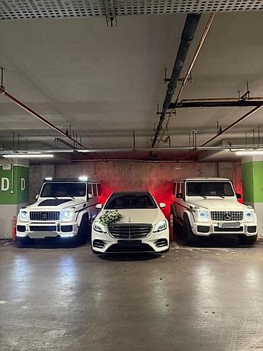 karavan icaresi: Günlük, Mercedes, Depozitsiz — 2