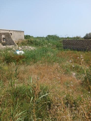 1 hektar necə sotdur: 2 sot, Tikinti, Mülkiyyətçi, Müqavilə — 7