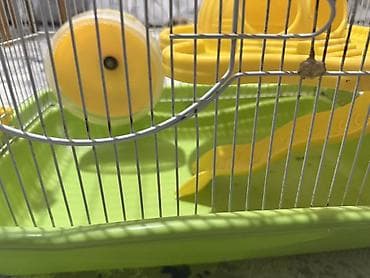 heyvan mal: Xırda gəmiricilər üçün qəfəs Hemstrlar və digər hamster növlərinə — 4