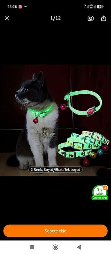 pişik tasması: Flüoresan pişik boyunbağı dəsti - Gecə parlayan silikon material — 2