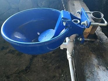 Asia: Heyvan su qabları Her növ her çeşit heyvan suluqları Azerbaycanda — 7