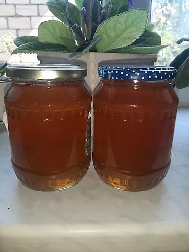 bildircin satisi tap az: Təbii və Əsl Xınalıq Balı Satılır! 🍯🐝 ​Əsl dağ havasında, təmiz — 1