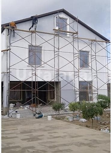 gül satışı toptan: Cəlilabad rayonunda Lesa icarəsi. Ayaqaltılatın qiyməti kvadratından — 1