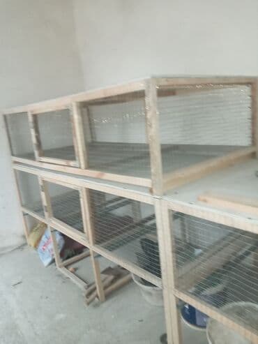 Toyuq,dovşan və ya başqa ev hevanları üçün hin tipli — 3