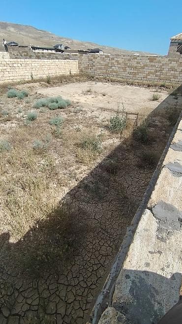 bine sovxoz evler: 2 sot, Kupça (Çıxarış) — 1