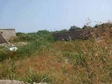 1 hektar necə sotdur: 2 sot, Tikinti, Mülkiyyətçi, Müqavilə — 3