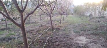 kiraye evler zabrat 2023: 1 otaqlı, 15 kv. m, Kredit yoxdur, Yeni təmirli — 8