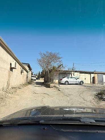 ovcharka satılır: Ehmetlide qara satilir lela sadig evinin yani yamasi var 19 kv sendei — 2