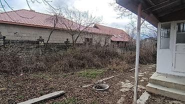 saatlı rayonu: 21 sot, Biznes üçün, Kupça (Çıxarış) — 7