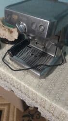 Otaq bitkiləri: Qəhvə dəsti, rəng - Qara — 1