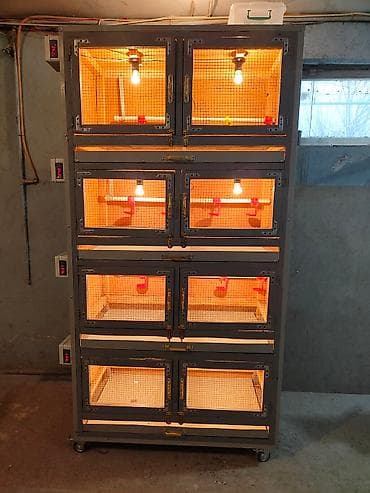 İnkubatorlar: Şəxsi təsərrüfat qurmaq isdəyirsən? biznes yaratmaq isdəyirsən? onda — 7