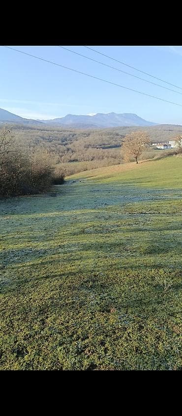 torpag satisi: 50 sot, Kənd təsərrüfatı, Mülkiyyətçi, Kupça (Çıxarış) — 2