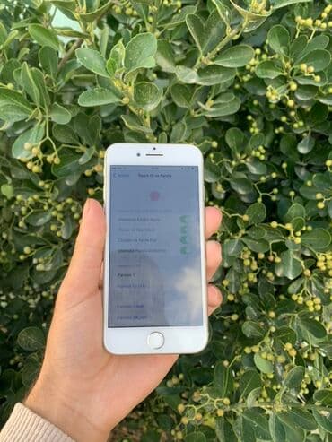 Техника для кухни: IPhone 8, 64 ГБ, Серебристый, Отпечаток пальца — 6