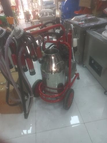 Cüt bidon, Paslanmaz bidon — 1