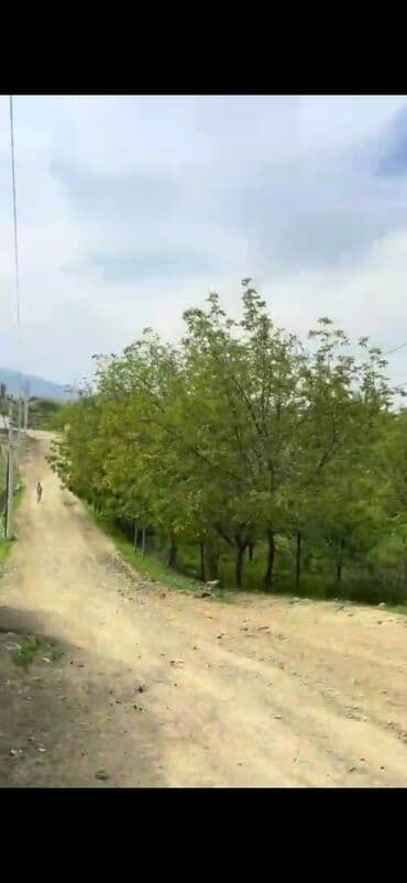 berdede kiraye evler: 30 sot, Tikinti, Mülkiyyətçi, Kupça (Çıxarış) — 8