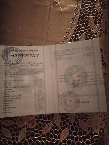 Dövlət qulluğuna qanunvericilik üzrə hazırlıq . Dövlət qulluqçusu