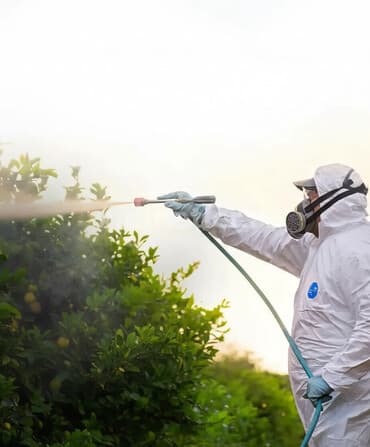 услуги сиделки с проживанием: Дезинфекция, дезинсекция | Клопы, Блохи, Тараканы | Офисы, Квартиры, Дома — 1