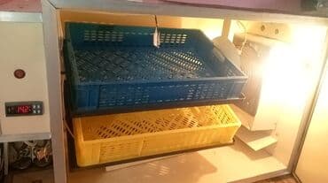 inkubator kreditle: 280 yumurtalıq inkubator satışda! 🔥 Fermerlər və ev təsərrüfatı üçün — 3