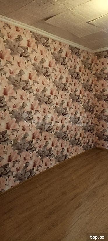 ivanovkada kiraye evler: 50 kv. m, 2 otaqlı, Kombi, Qaz, İşıq — 1