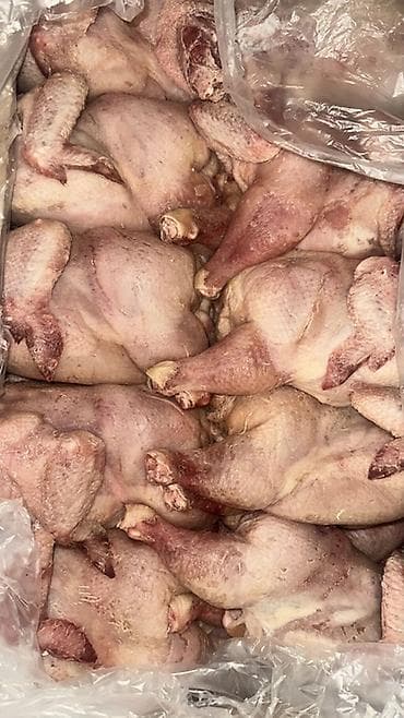 Məhsul: Təmizlənmiş bütün toyuq karkasları (soyudulmuş/dondurulmuş)