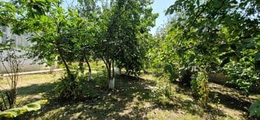 torpaq mingecevir: 12 sot, Tikinti, Makler, Kupça (Çıxarış) — 18