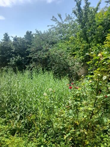 аренда земли сельскохозяйственного назначения: 50 соток, Для строительства, Купчая — 2