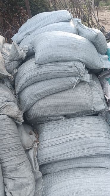 adəm ağacı: Dekarativ agaclarin satisi — 8