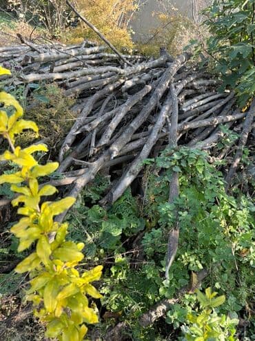 ucuz zebra perde: Bir qazeldən çox odundu hazır doğranmış odunlardı başqada odunlar var — 4
