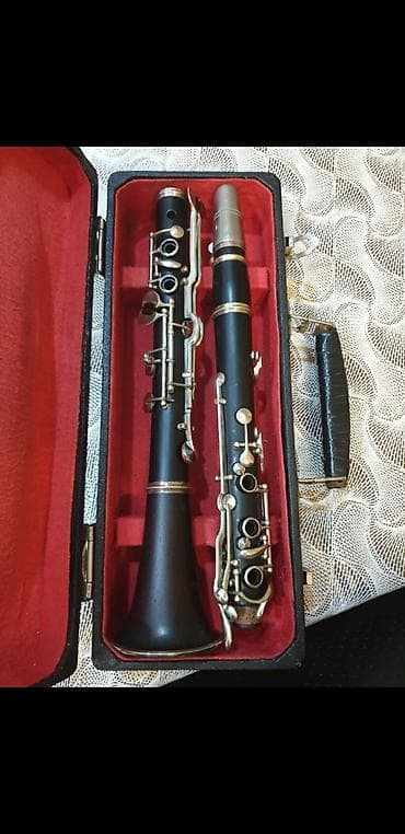 купить синтезатор бу: A klarnet fritz qanburq və hüller əla vəziyətdə ağac kökü iynə kimi — 5