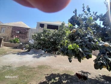 əhmədlidə 3 otaqlı evlər: 10 sotun içində yerləşir üc otaq bir zal bir mətbəx və hamam sanitar — 7