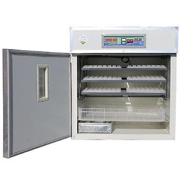 Inkubator inqibator inkibator inqubator Sənaye tipli inkubatorlar 528 — 4