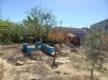 Binəqədi qəsəbəside yerləşən 8 sot torpaq sahəsi satışa çıxarılıb lalafo.az -da Binəqədi qəsəbəside yerləşən 8 sot torpaq sahəsi satışa çıxarılıb