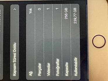 panel radiator: IPhone 8 Plus, 256 GB, Qızılı, Qırıq — 6