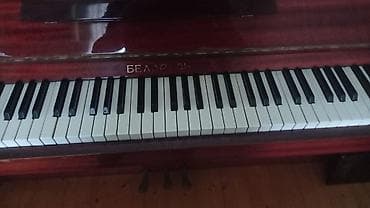 Piano, Belarus, Akustik, İşlənmiş — 2