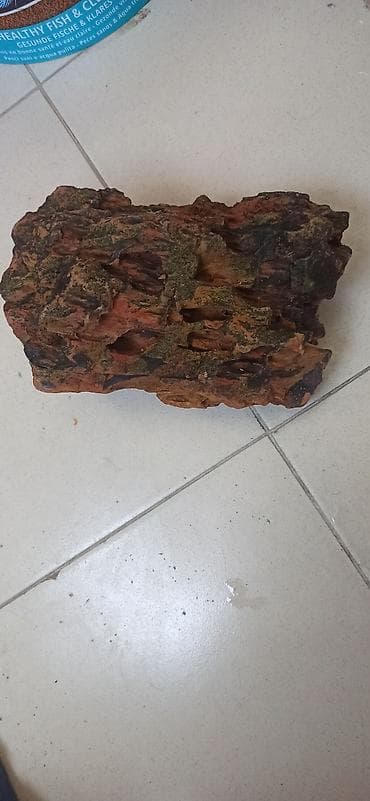 akvarium bitkileri: Akvaryum dekoru – təbii görünüşlü əlin içindən böyükdür - Material — 2