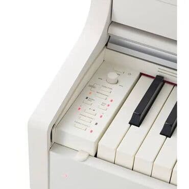 стул для пианино: Piano, Casio, Rəqəmsal, Yeni, Pulsuz çatdırılma, Rayonlara çatdırılma, Ünvandan götürmə — 4