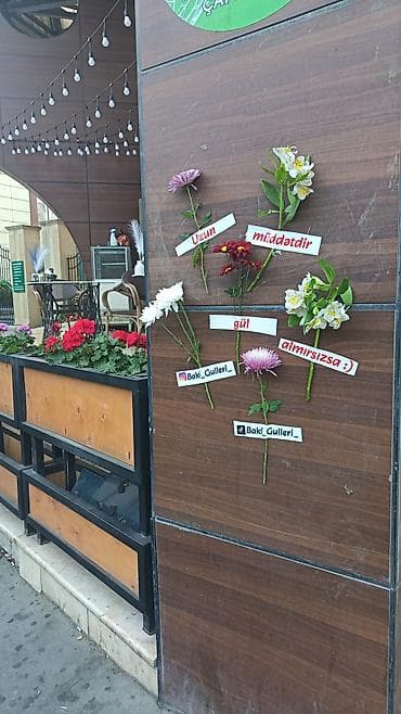 Anbar: Barista tələb olunur, Həftəlik ödəniş, 18-29 yaş, 1-2 illik təcrübə — 5