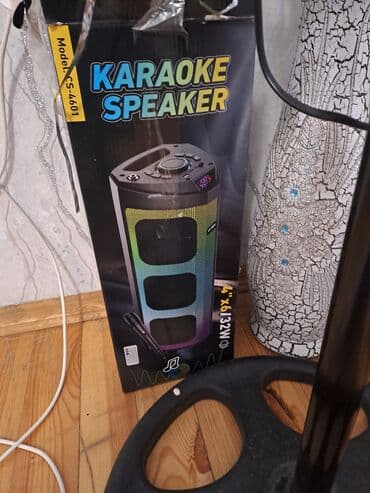 Qulaqcıqlar: Karaoke Speaker – Model: CS-4601 masdagadadı kalonka real alanlar zeng — 1