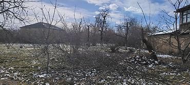 badamdar evlər: 20 sot, Tikinti, Mülkiyyətçi, Kupça (Çıxarış) — 3