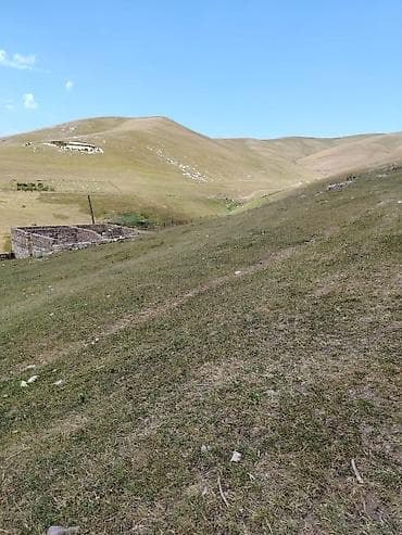 ev alqi satqisi kirayesi: Tikinti — 2
